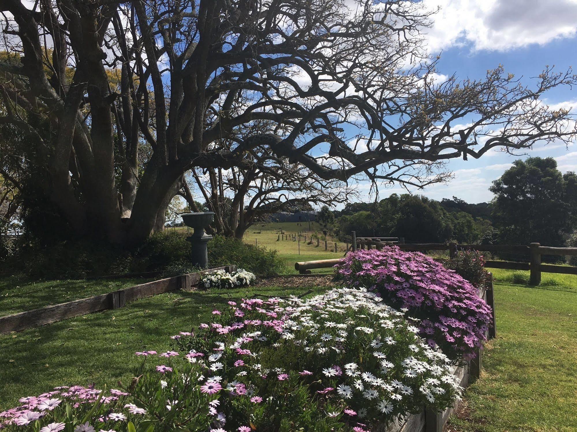 Hillview Cottages Kingaroy Extérieur photo